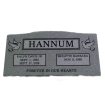 HannumMarker